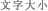 文字大小